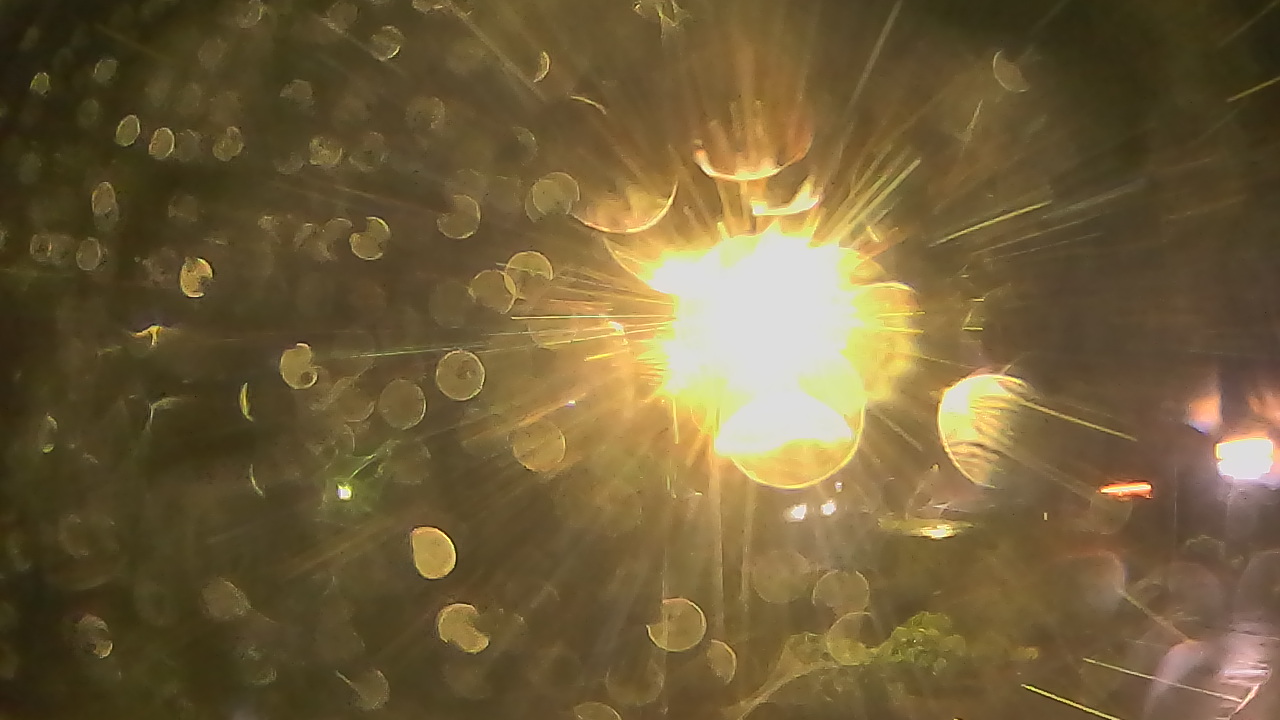 Thumbnail for current weather camera view from Wishkah Valley School in Aberdeen, Washington