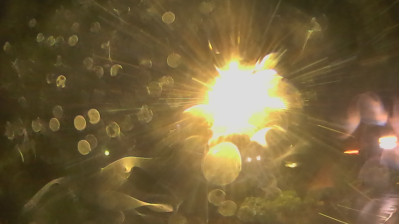 Thumbnail for current weather camera view from Wishkah Valley School in Aberdeen, Washington