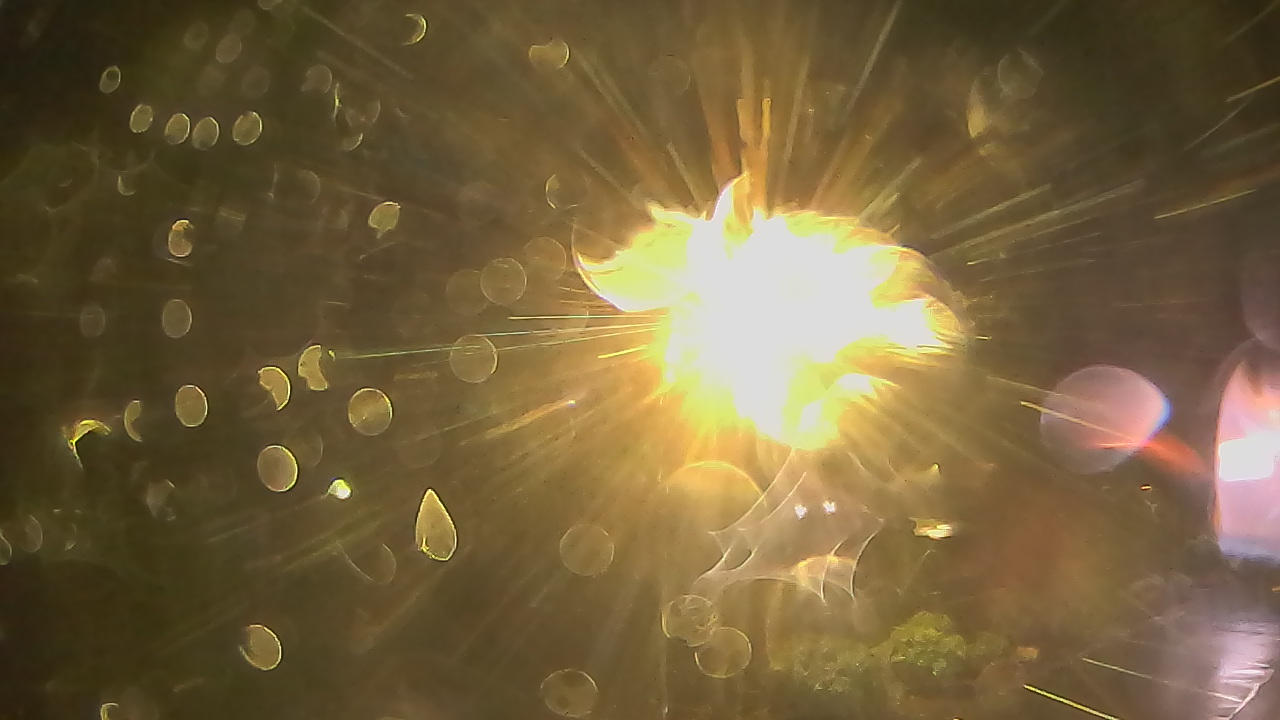 Thumbnail for current weather camera view from Wishkah Valley School in Aberdeen, Washington