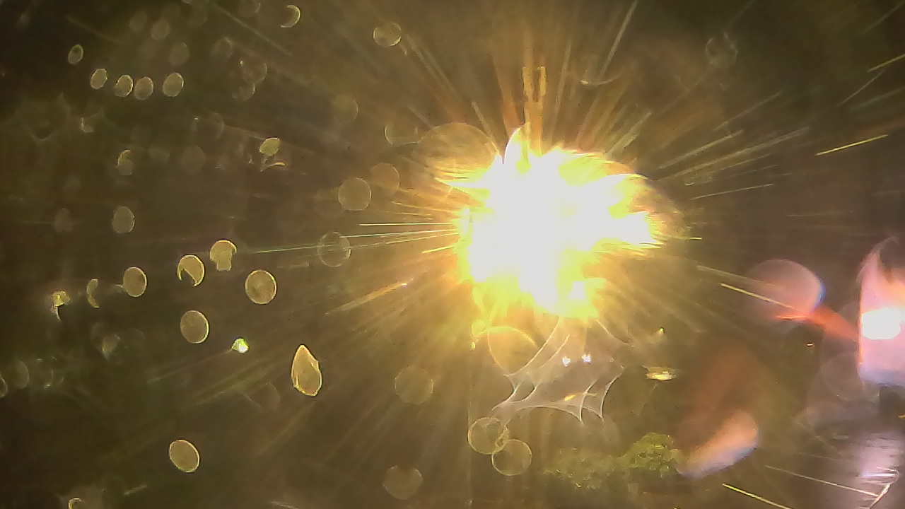 Thumbnail for current weather camera view from Wishkah Valley School in Aberdeen, Washington