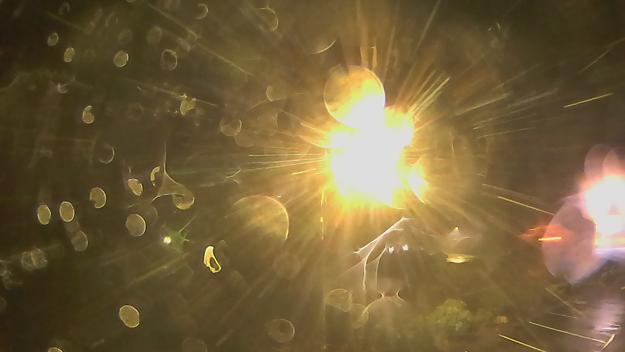 Thumbnail for current weather camera view from Wishkah Valley School in Aberdeen, Washington