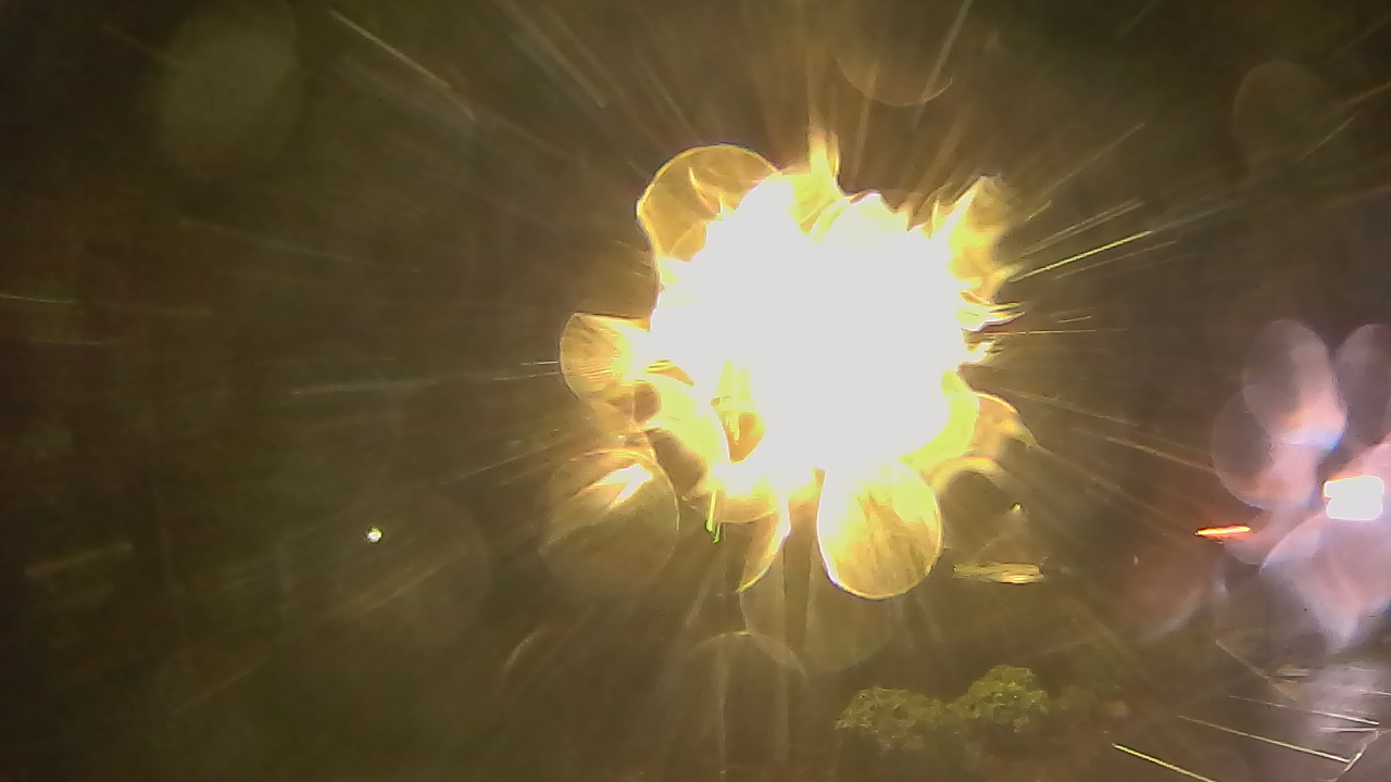 Thumbnail for current weather camera view from Wishkah Valley School in Aberdeen, Washington