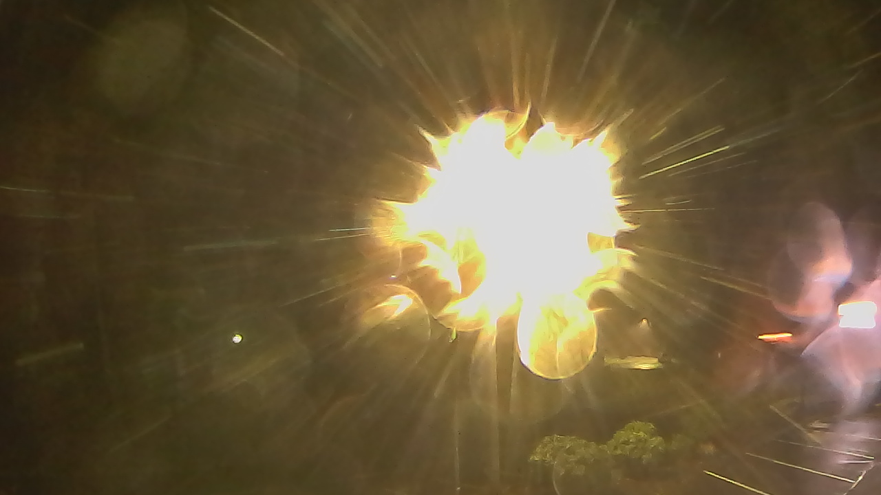 Thumbnail for current weather camera view from Wishkah Valley School in Aberdeen, Washington