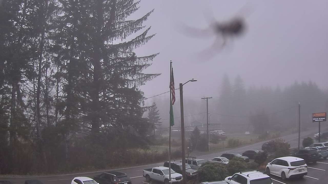 Thumbnail for current weather camera view from Wishkah Valley School in Aberdeen, Washington