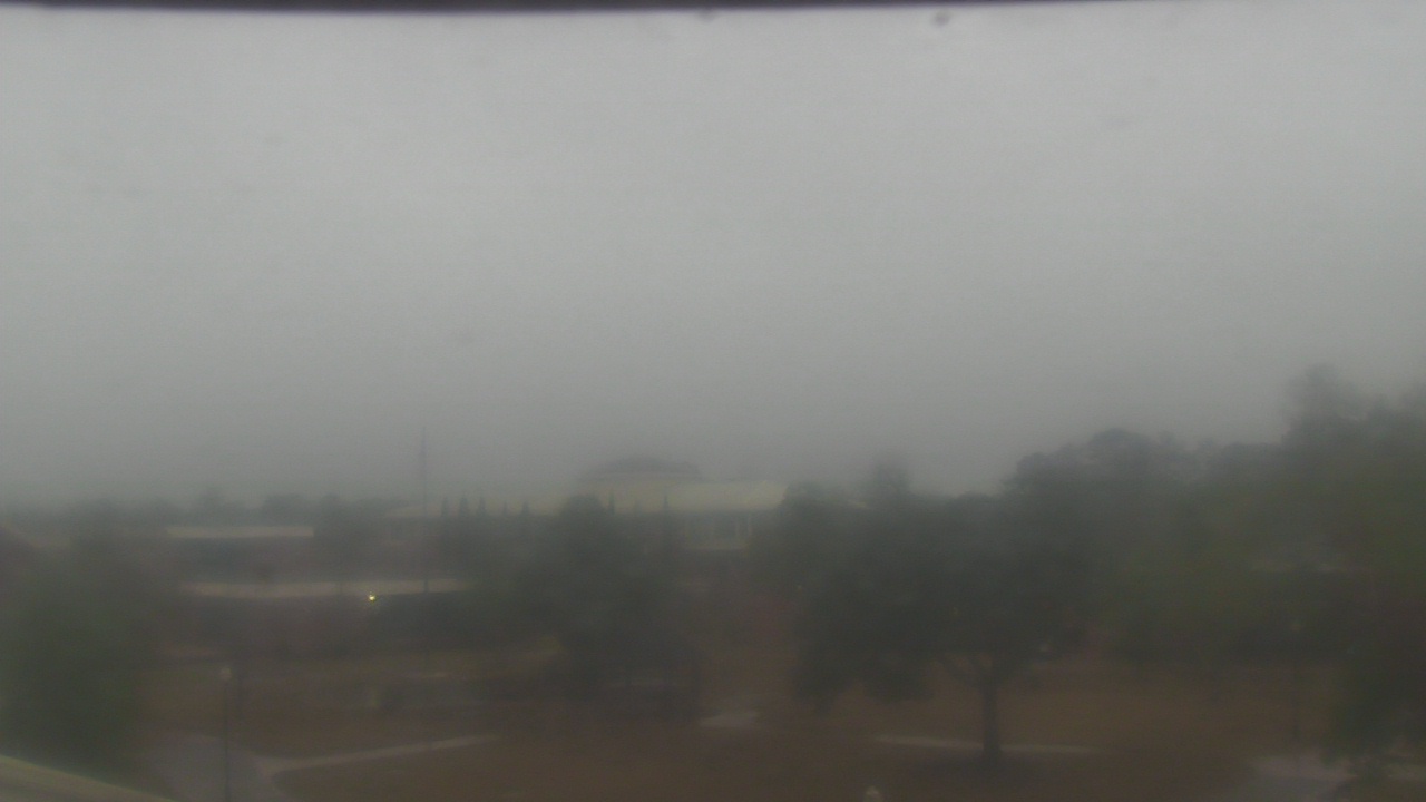 Thumbnail for current weather camera view from Albany State University - West Campus in Albany, Georgia