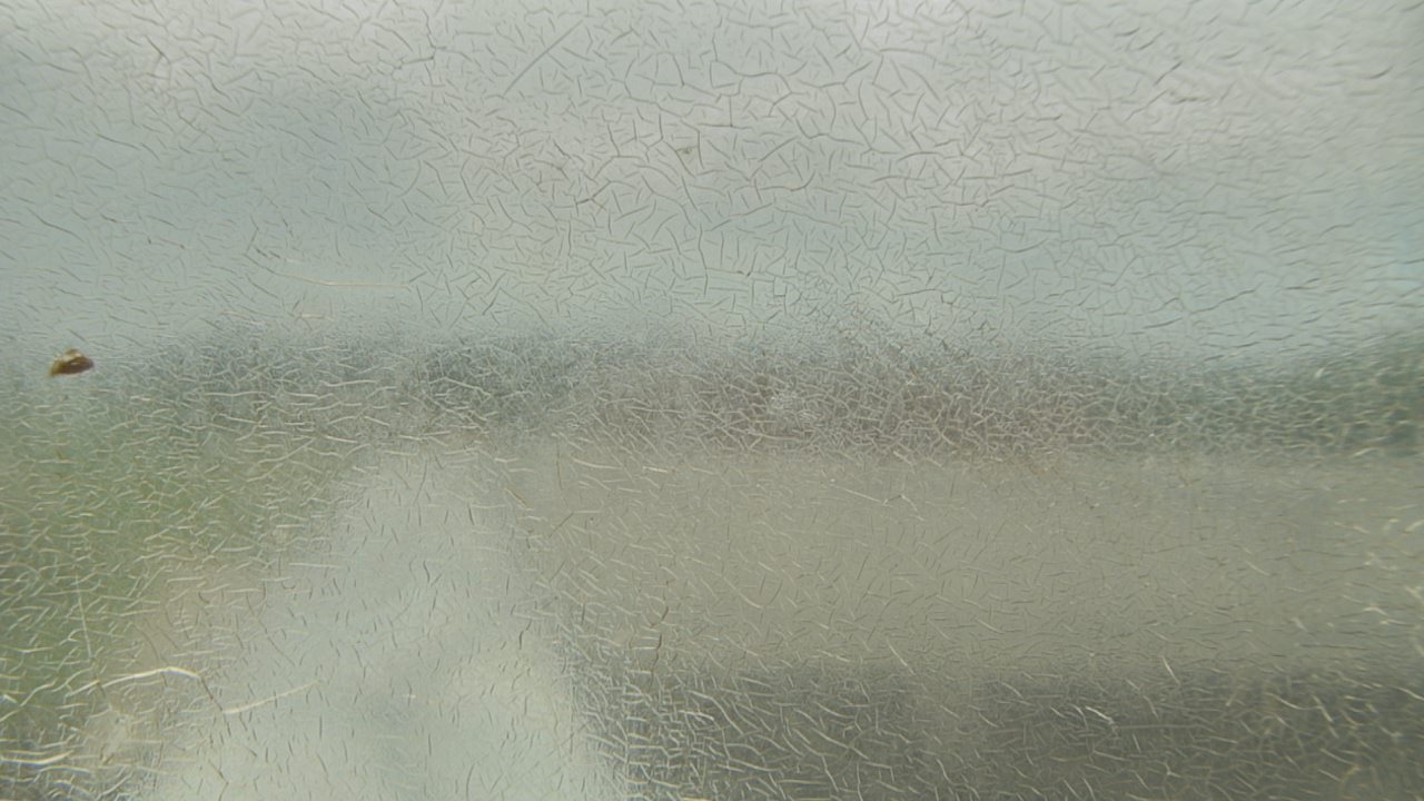 Thumbnail for current weather camera view from Santa Fe HS in Alachua, Florida