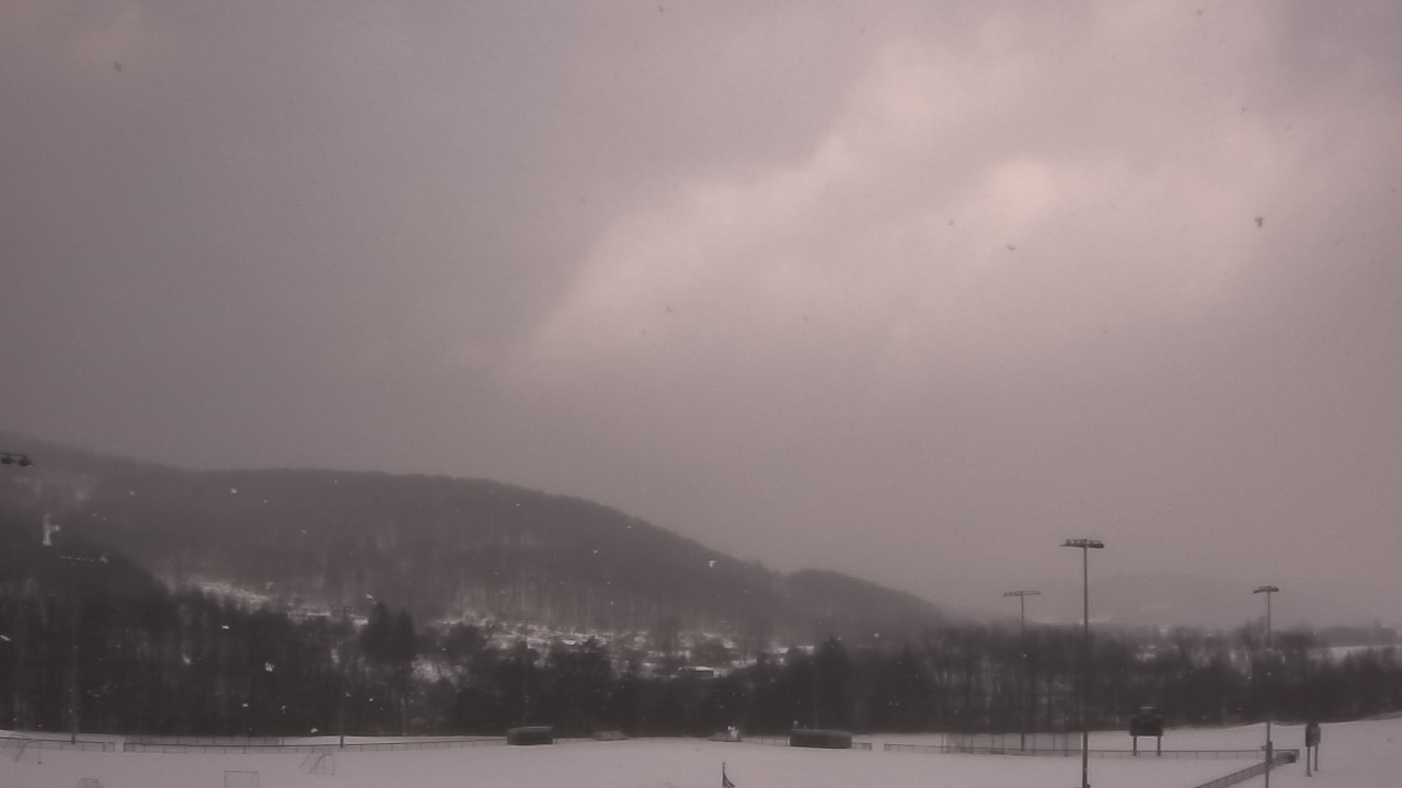 Thumbnail for current weather camera view from Allegany-Limestone Central School in Allegany, New York