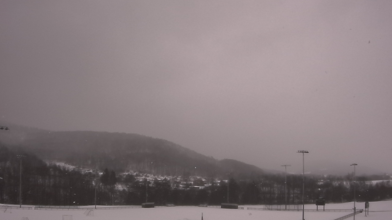 Thumbnail for current weather camera view from Allegany-Limestone Central School in Allegany, New York