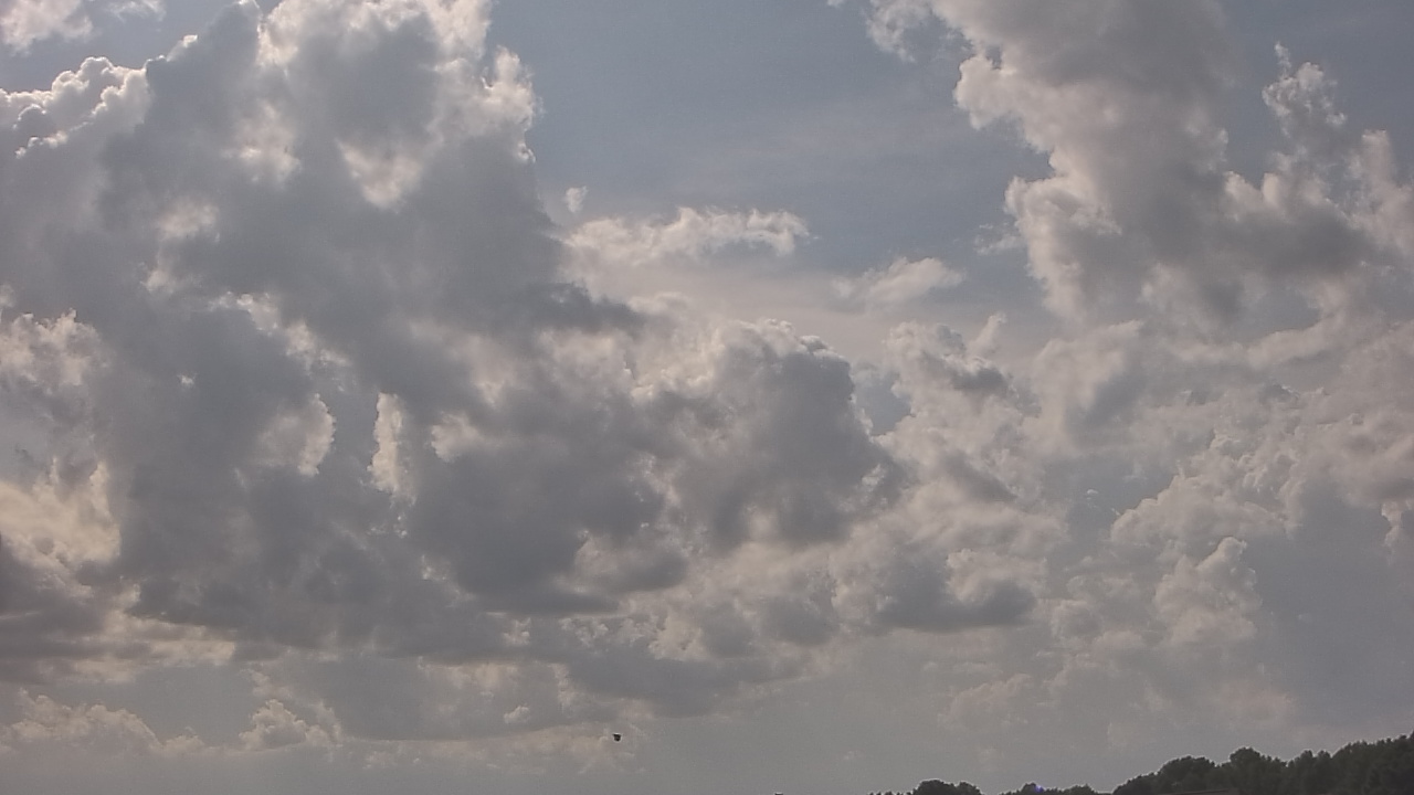 Thumbnail for current weather camera view from McGees Crossroads NC in Benson, North Carolina