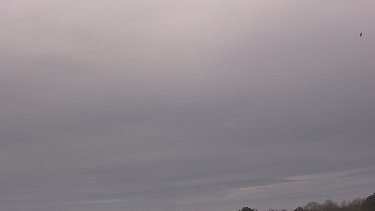 Thumbnail for current weather camera view from McGees Crossroads NC in Benson, North Carolina