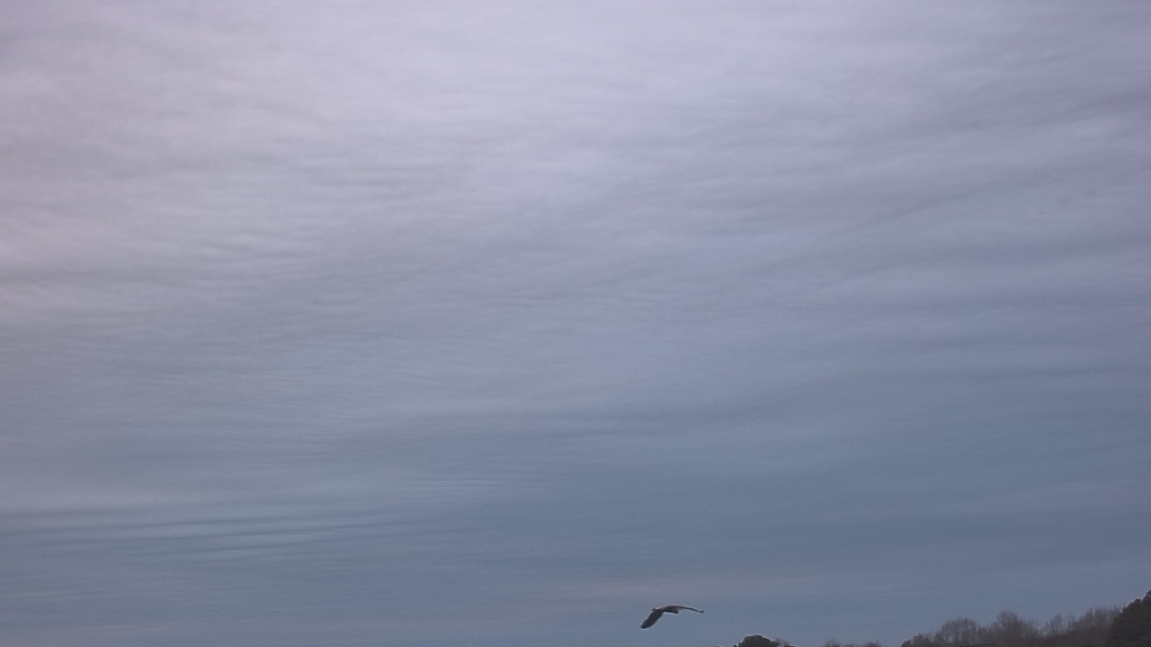 Thumbnail for current weather camera view from McGees Crossroads NC in Benson, North Carolina