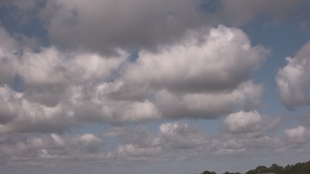 Thumbnail for current weather camera view from McGees Crossroads NC in Benson, North Carolina