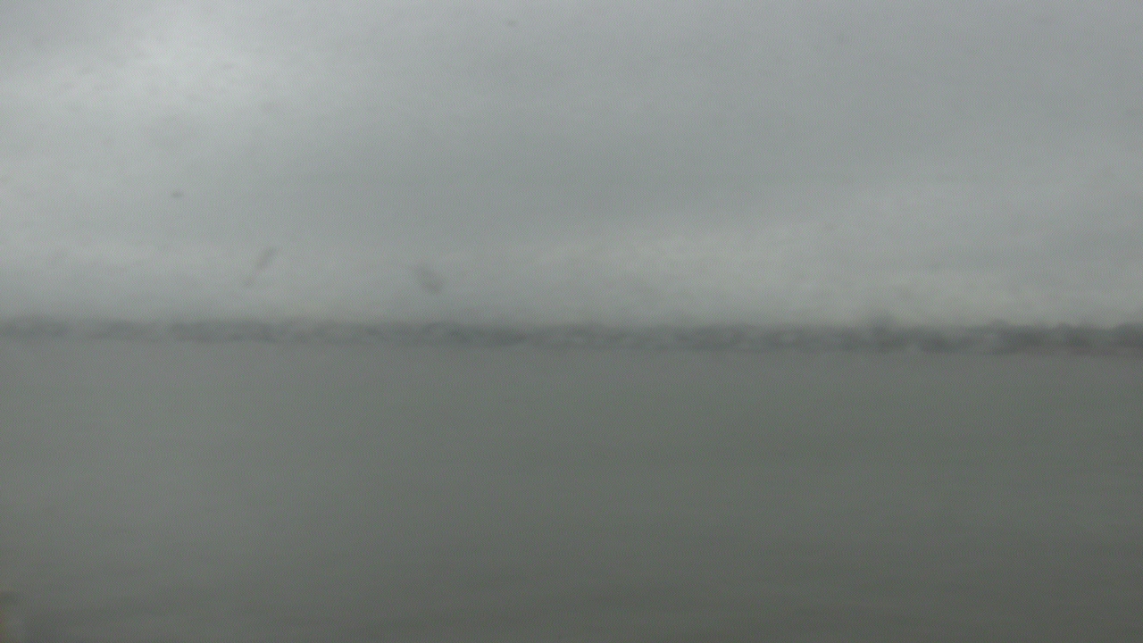 Thumbnail for current weather camera view from SBPG Port Ship Service Arabi in Arabi, Louisiana
