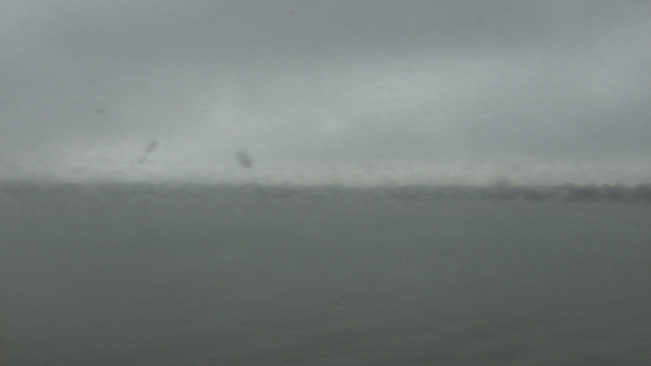 Thumbnail for current weather camera view from SBPG Port Ship Service Arabi in Arabi, Louisiana