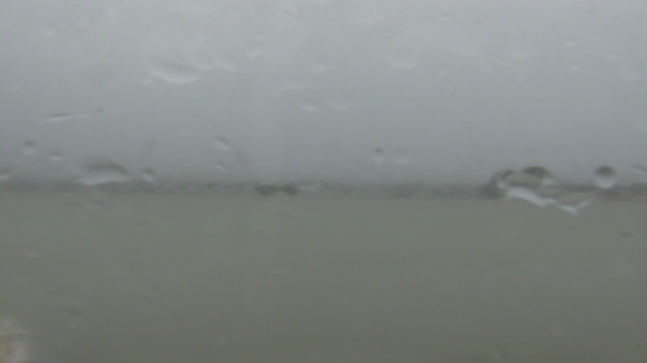Thumbnail for current weather camera view from SBPG Port Ship Service Arabi in Arabi, Louisiana