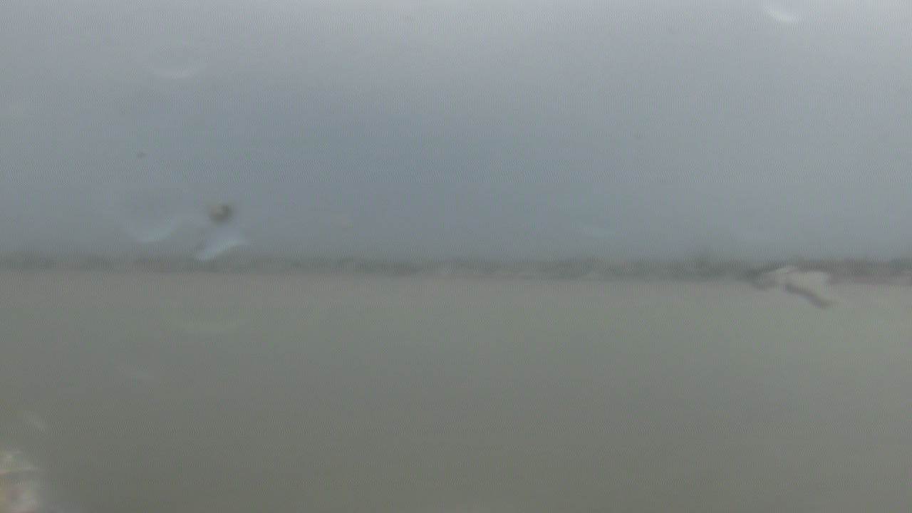 Thumbnail for current weather camera view from SBPG Port Ship Service Arabi in Arabi, Louisiana