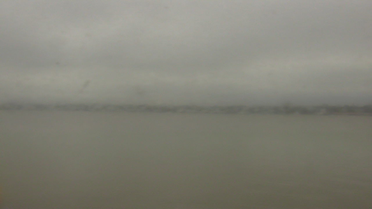 Thumbnail for current weather camera view from SBPG Port Ship Service Arabi in Arabi, Louisiana