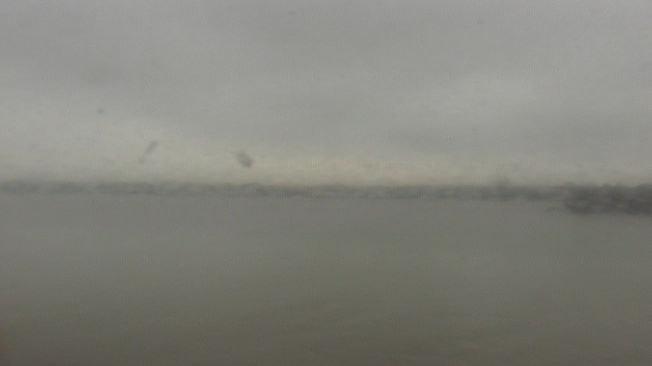 Thumbnail for current weather camera view from SBPG Port Ship Service Arabi in Arabi, Louisiana
