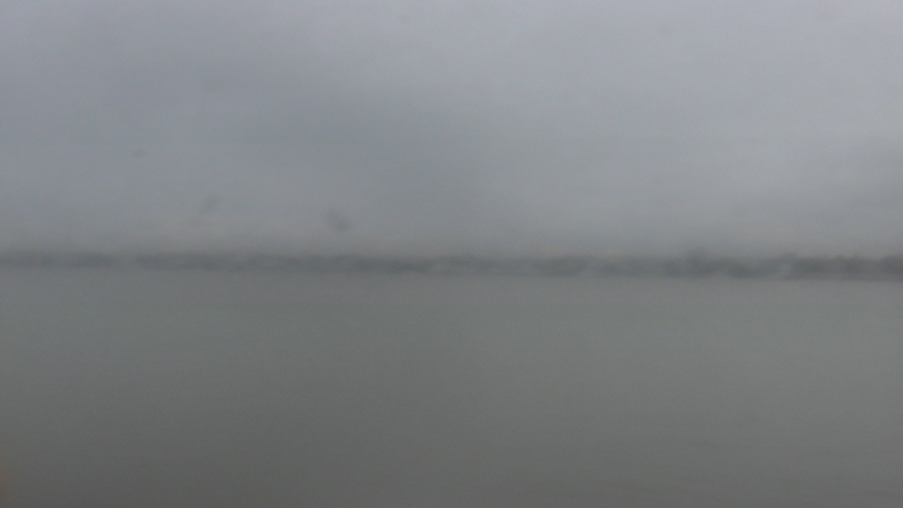 Thumbnail for current weather camera view from SBPG Port Ship Service Arabi in Arabi, Louisiana