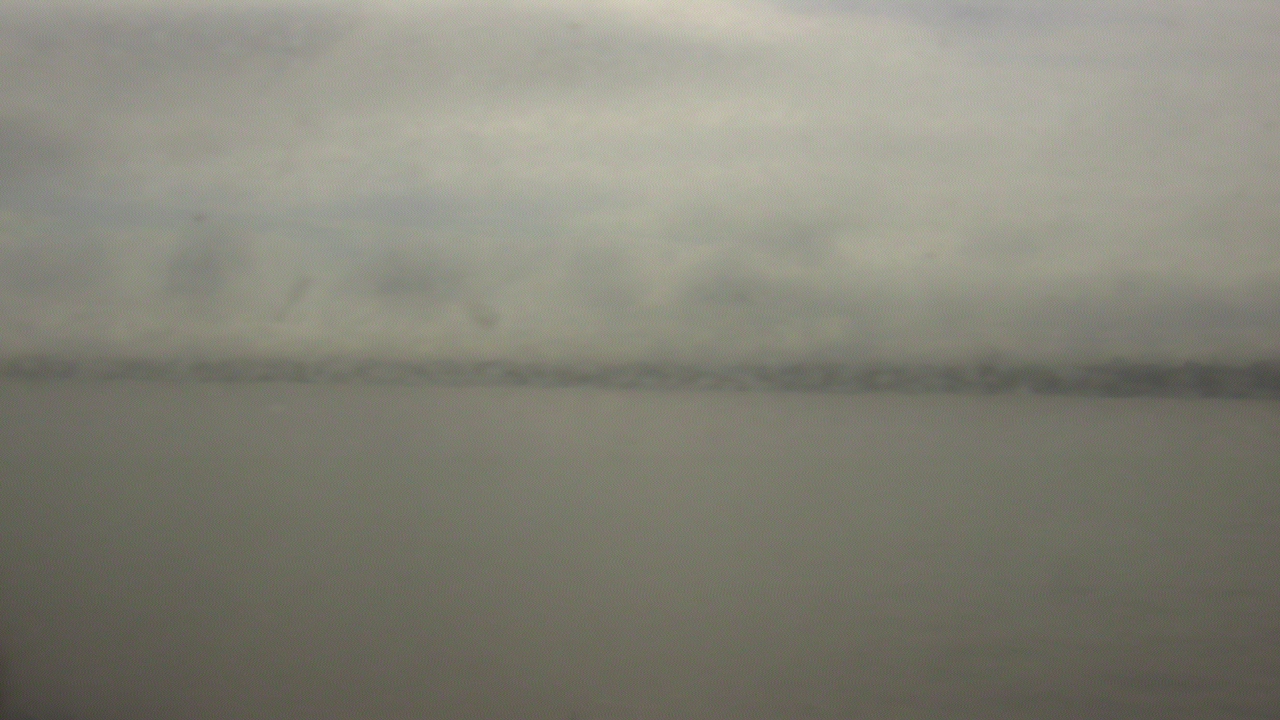 Thumbnail for current weather camera view from SBPG Port Ship Service Arabi in Arabi, Louisiana
