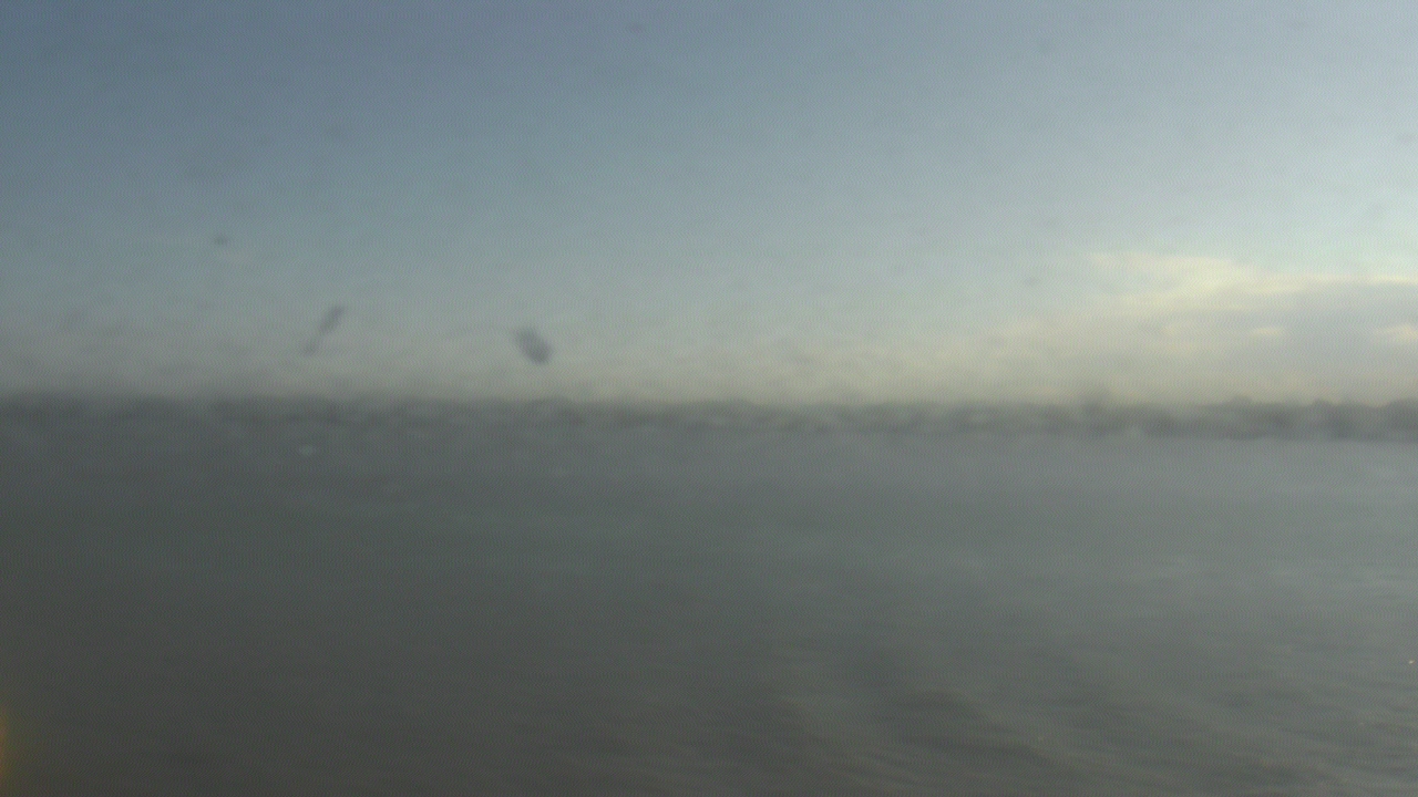 Thumbnail for current weather camera view from SBPG Port Ship Service Arabi in Arabi, Louisiana