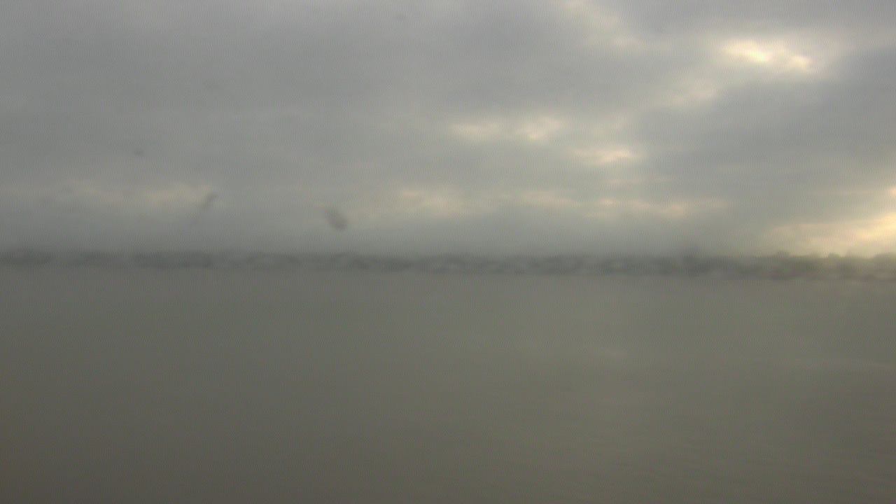 Thumbnail for current weather camera view from SBPG Port Ship Service Arabi in Arabi, Louisiana