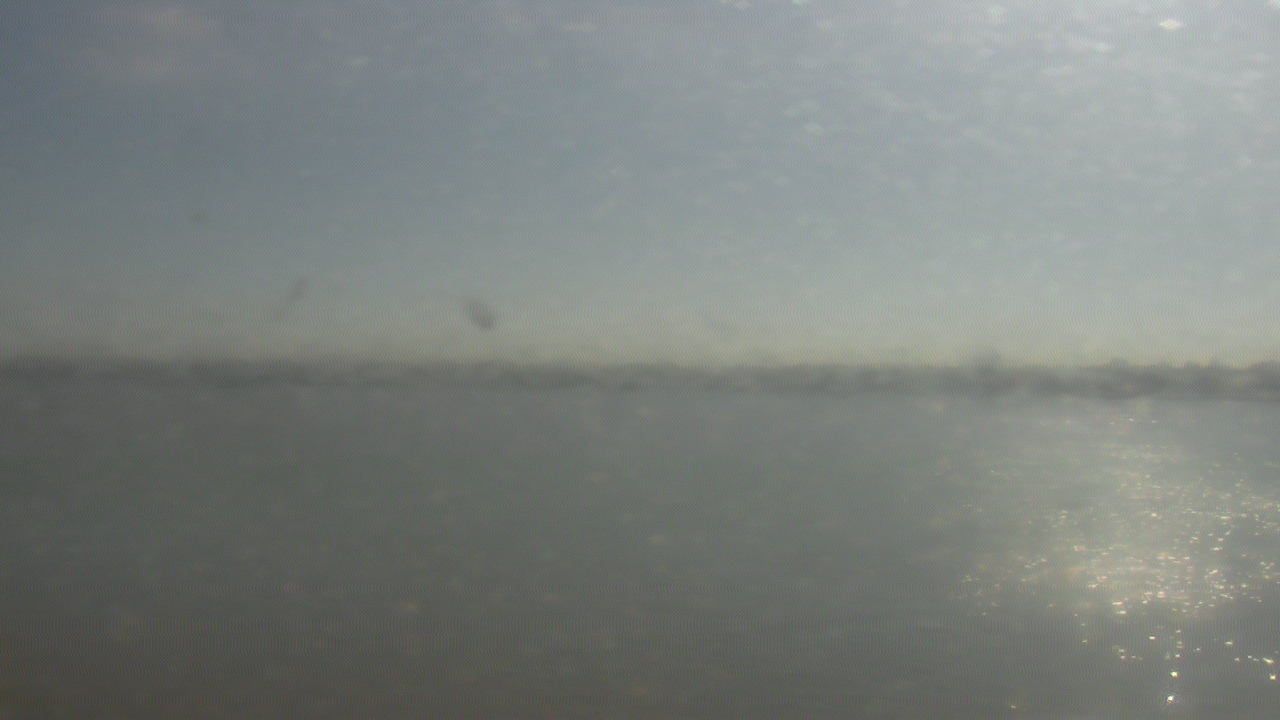 Thumbnail for current weather camera view from SBPG Port Ship Service Arabi in Arabi, Louisiana