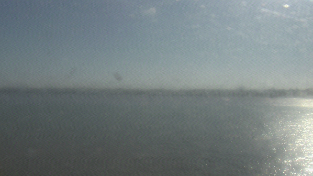 Thumbnail for current weather camera view from SBPG Port Ship Service Arabi in Arabi, Louisiana