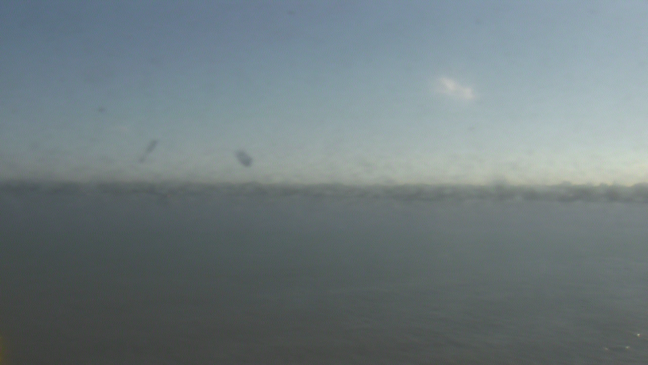 Thumbnail for current weather camera view from SBPG Port Ship Service Arabi in Arabi, Louisiana