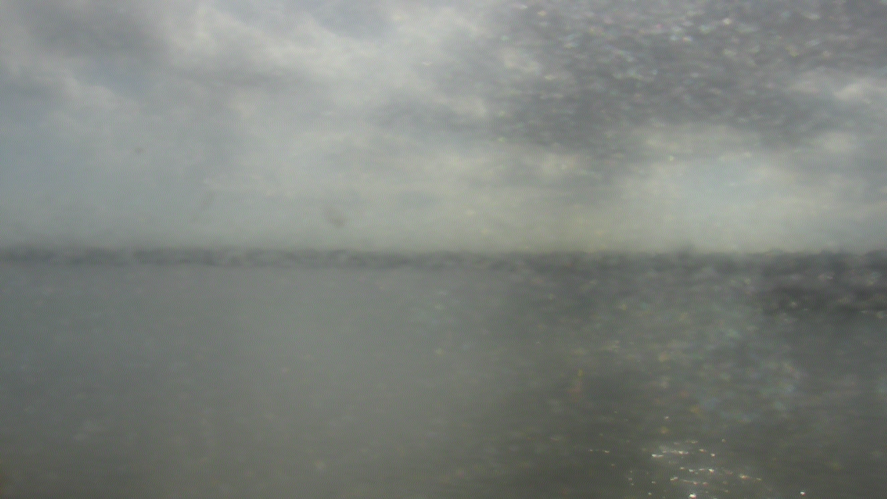 Thumbnail for current weather camera view from SBPG Port Ship Service Arabi in Arabi, Louisiana