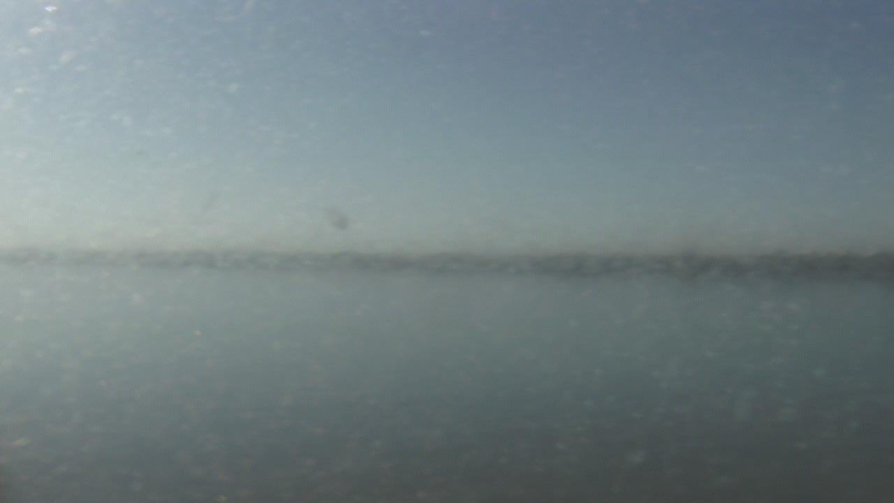 Thumbnail for current weather camera view from SBPG Port Ship Service Arabi in Arabi, Louisiana