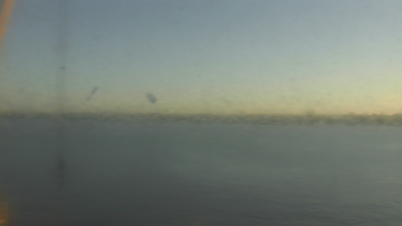 Thumbnail for current weather camera view from SBPG Port Ship Service Arabi in Arabi, Louisiana