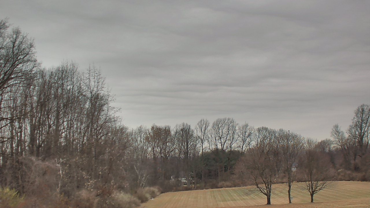 Thumbnail for current weather camera view from Bethlehem Township SD 800 ft elev in Bethlehem Township, New Jersey