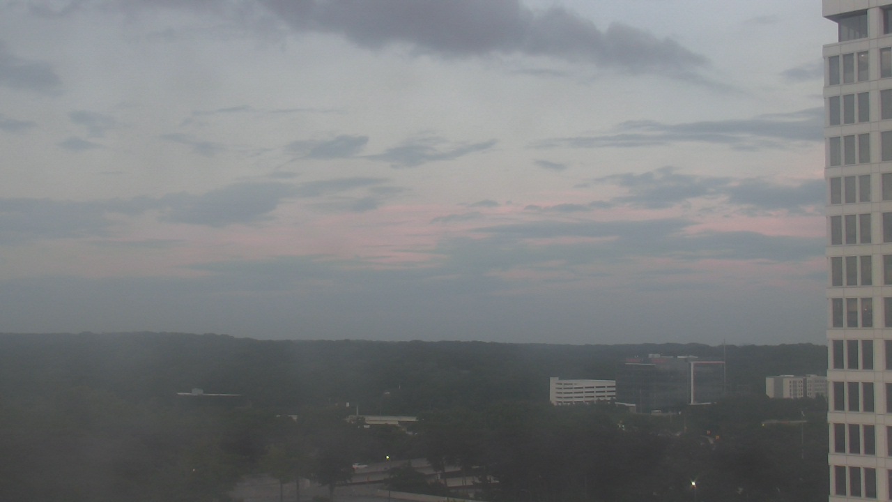Thumbnail for current weather camera view from Truist Park in Vinings, Georgia