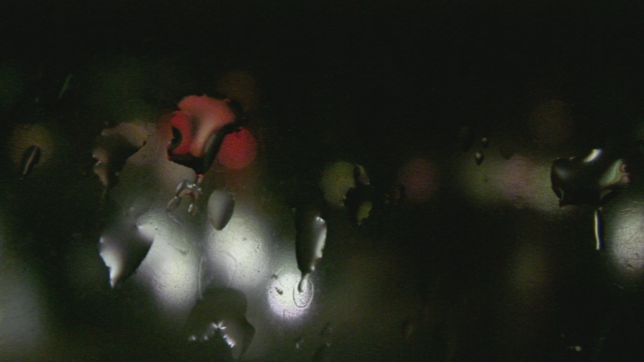 Thumbnail for current weather camera view from San Juan County Emergency Management in Aztec, New Mexico