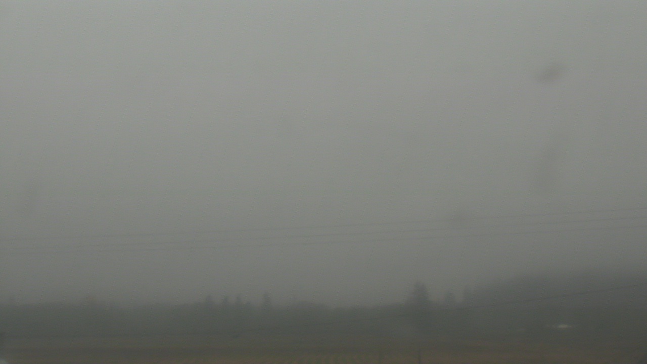 Thumbnail for current weather camera view from City of Banks Public Library in Banks, Oregon