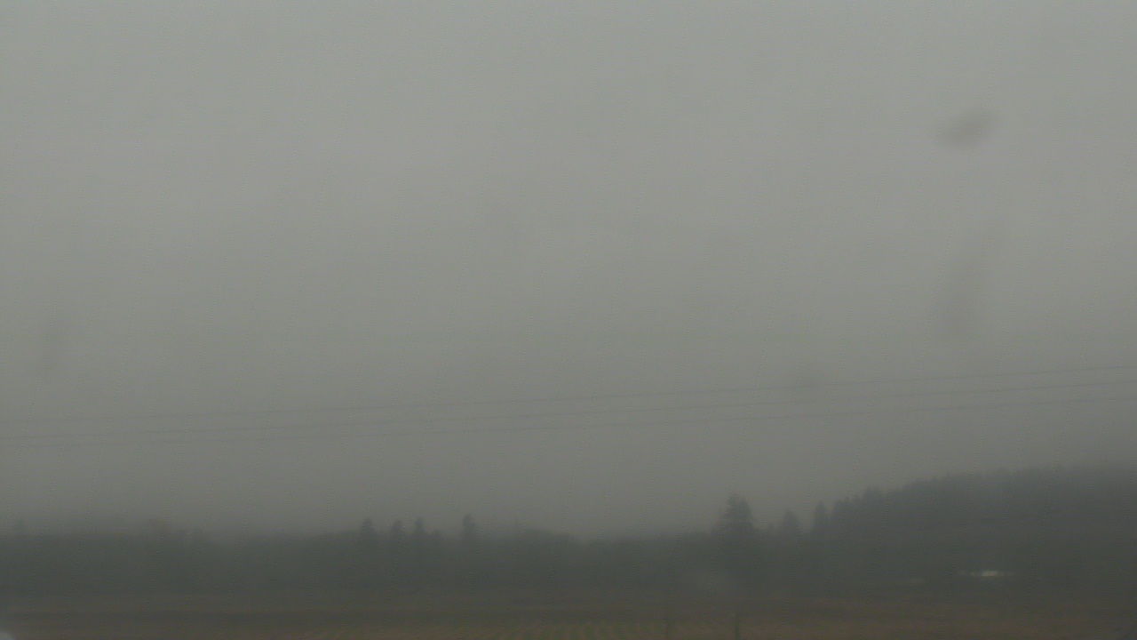 Thumbnail for current weather camera view from City of Banks Public Library in Banks, Oregon