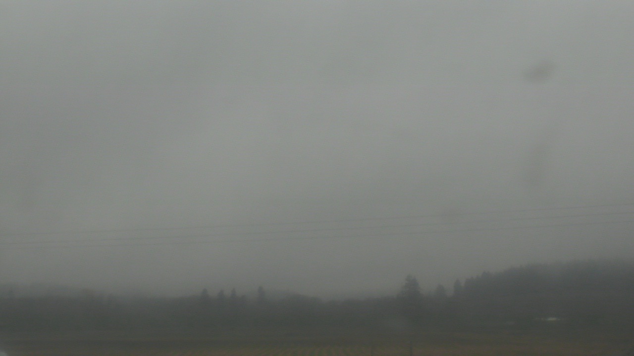 Thumbnail for current weather camera view from City of Banks Public Library in Banks, Oregon