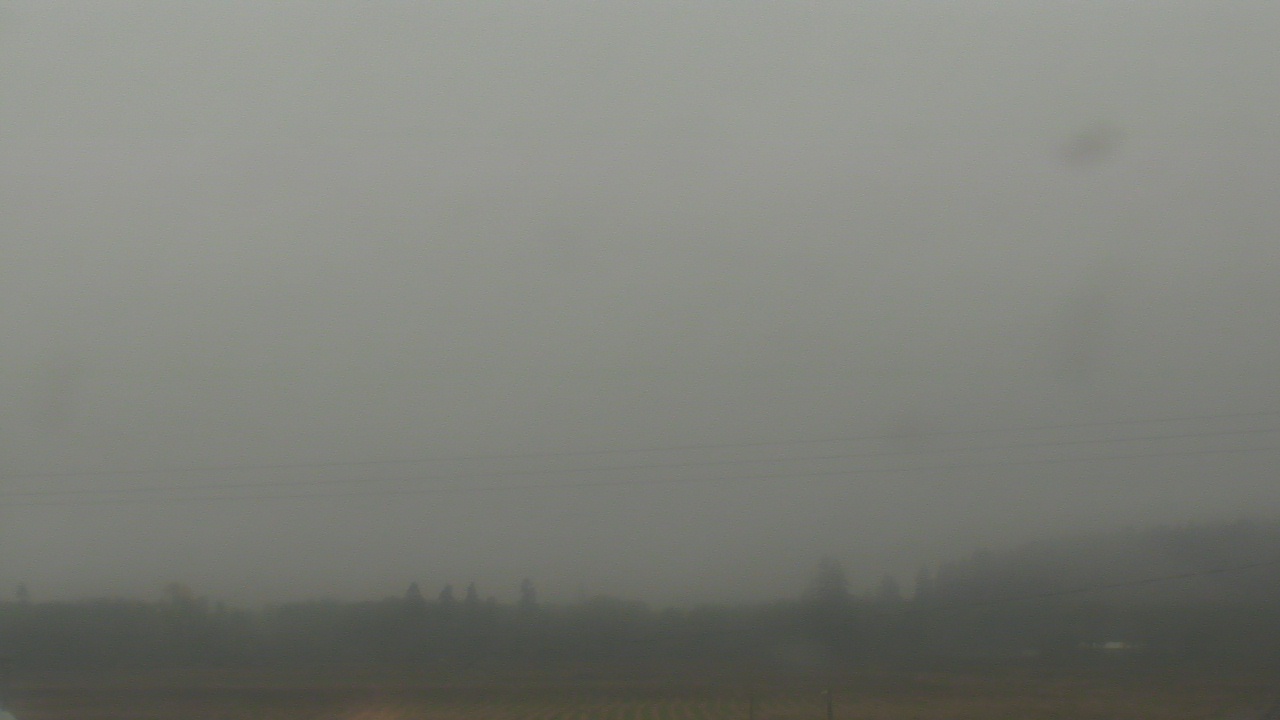 Thumbnail for current weather camera view from City of Banks Public Library in Banks, Oregon