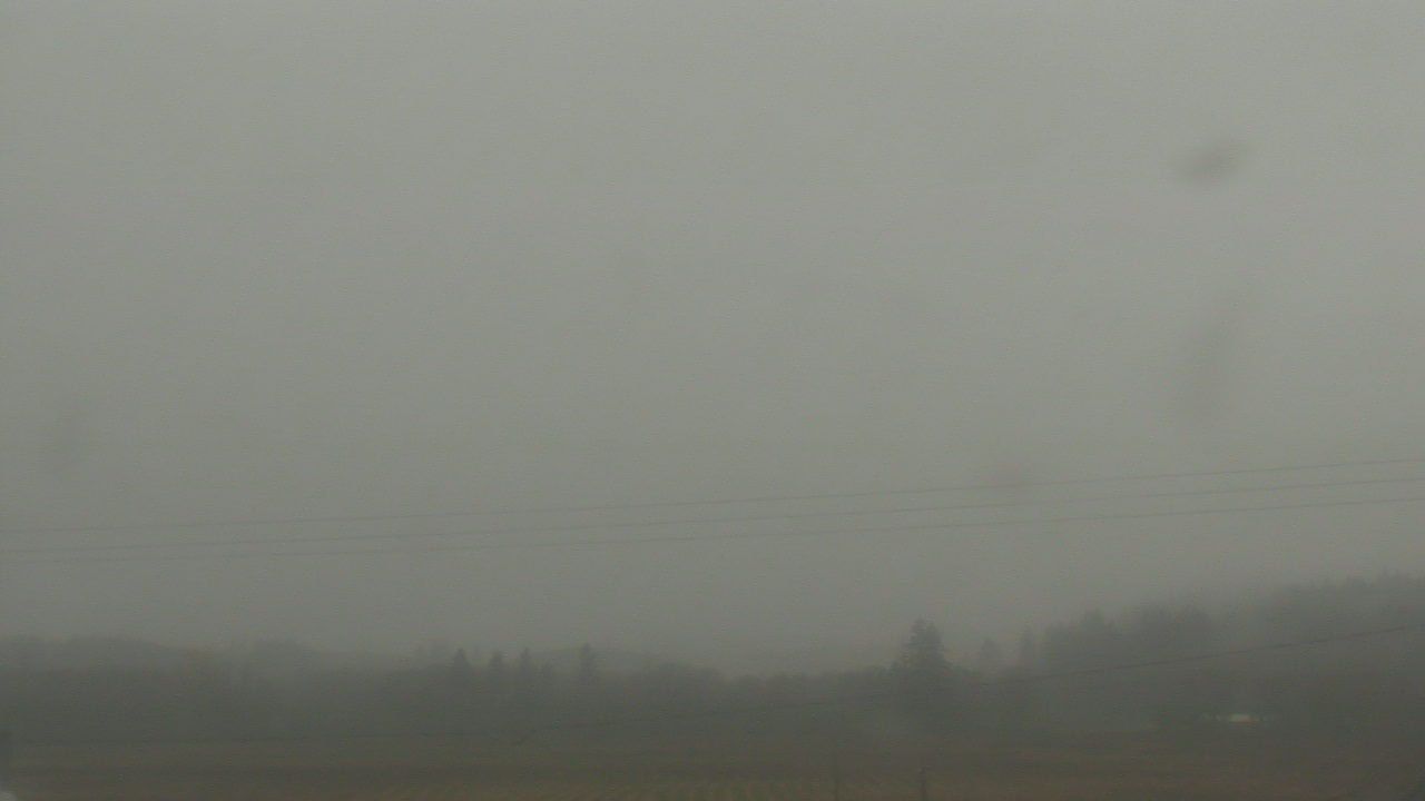 Thumbnail for current weather camera view from City of Banks Public Library in Banks, Oregon