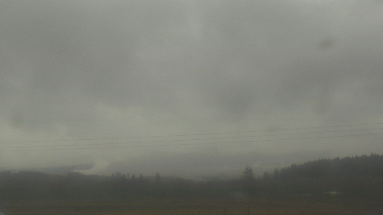 Thumbnail for current weather camera view from City of Banks Public Library in Banks, Oregon
