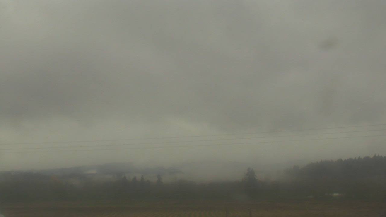 Thumbnail for current weather camera view from City of Banks Public Library in Banks, Oregon