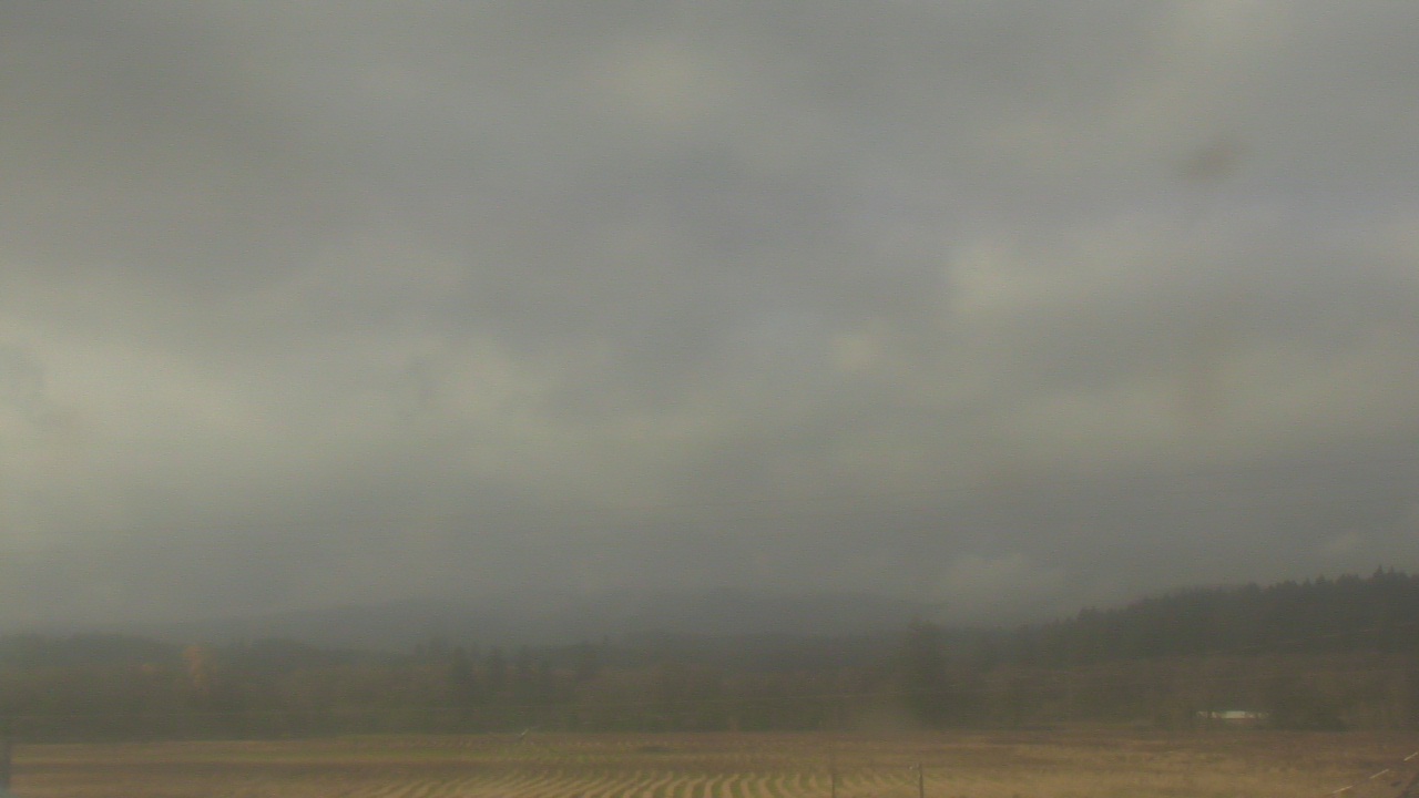 Thumbnail for current weather camera view from City of Banks Public Library in Banks, Oregon