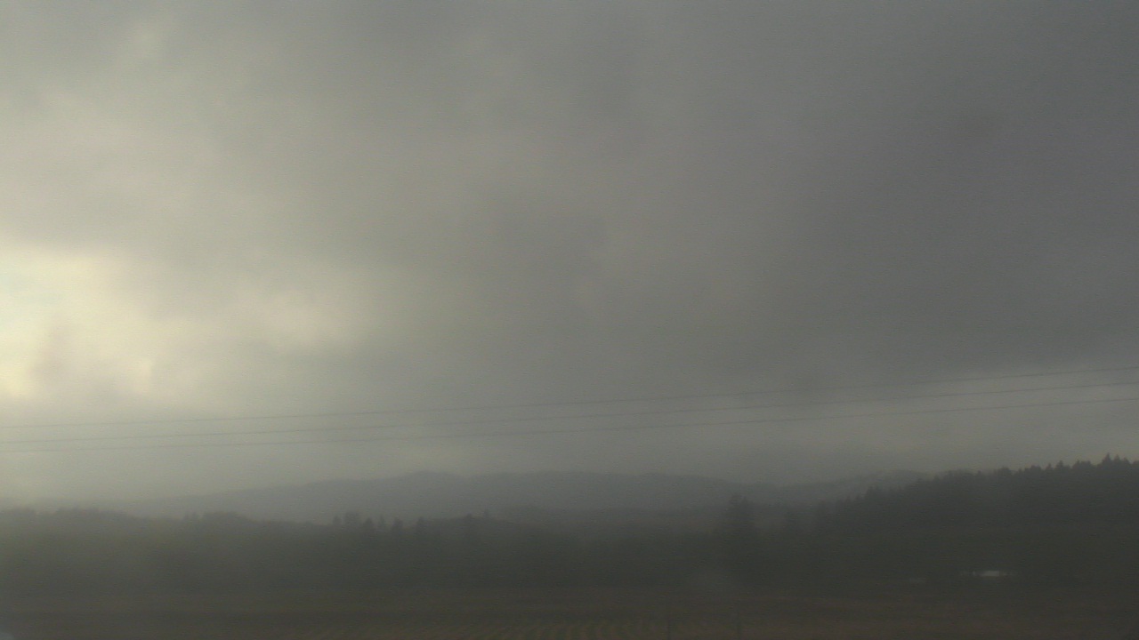 Thumbnail for current weather camera view from City of Banks Public Library in Banks, Oregon