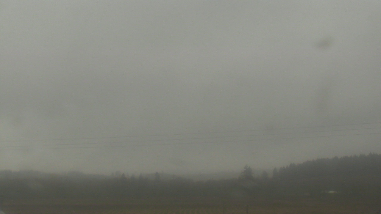 Thumbnail for current weather camera view from City of Banks Public Library in Banks, Oregon