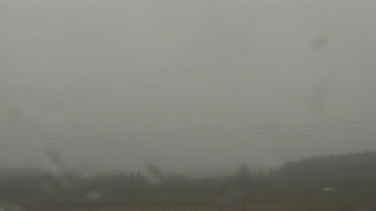 Thumbnail for current weather camera view from City of Banks Public Library in Banks, Oregon