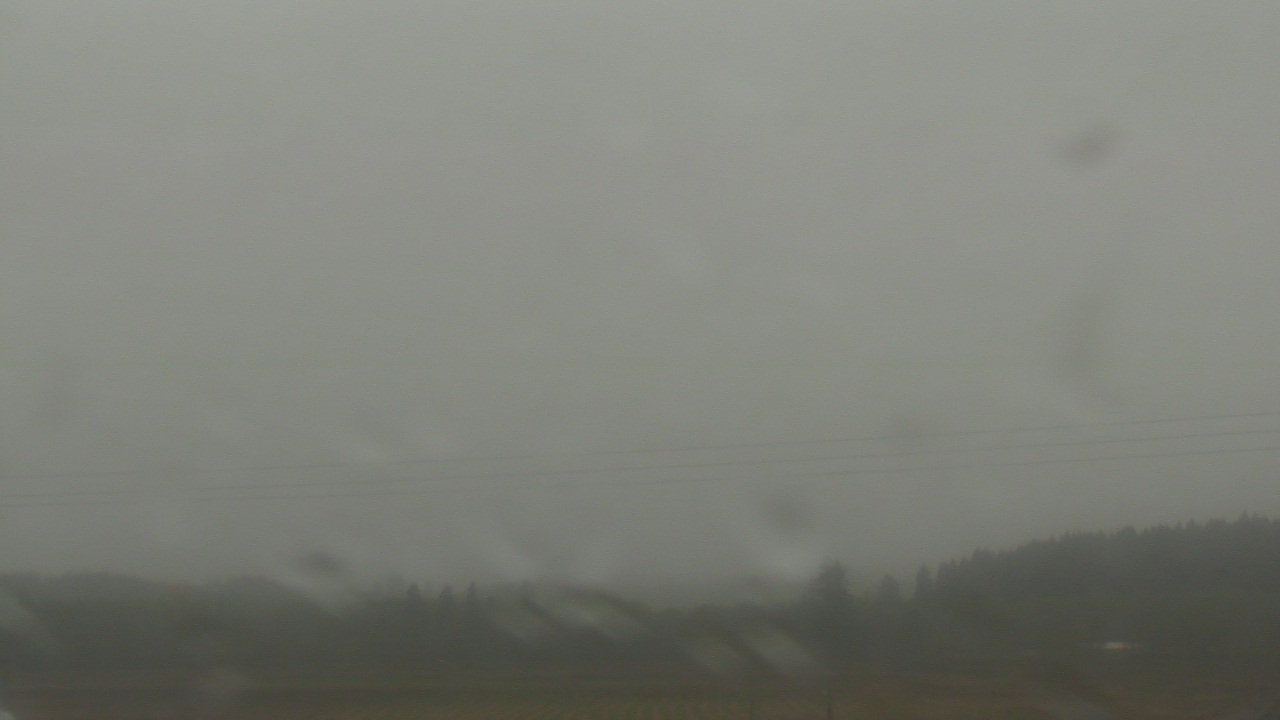 Thumbnail for current weather camera view from City of Banks Public Library in Banks, Oregon