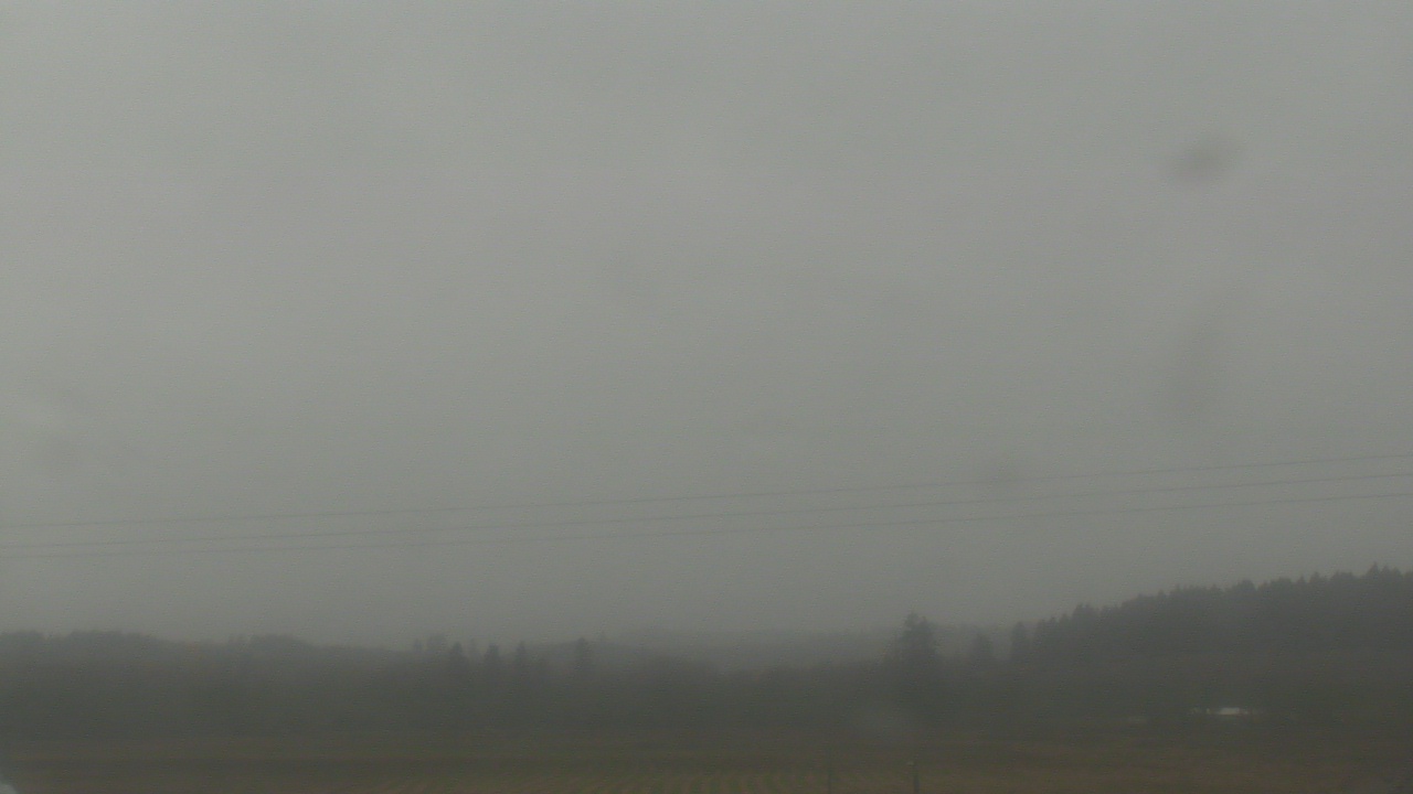 Thumbnail for current weather camera view from City of Banks Public Library in Banks, Oregon