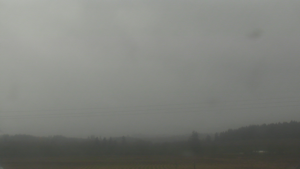 Thumbnail for current weather camera view from City of Banks Public Library in Banks, Oregon