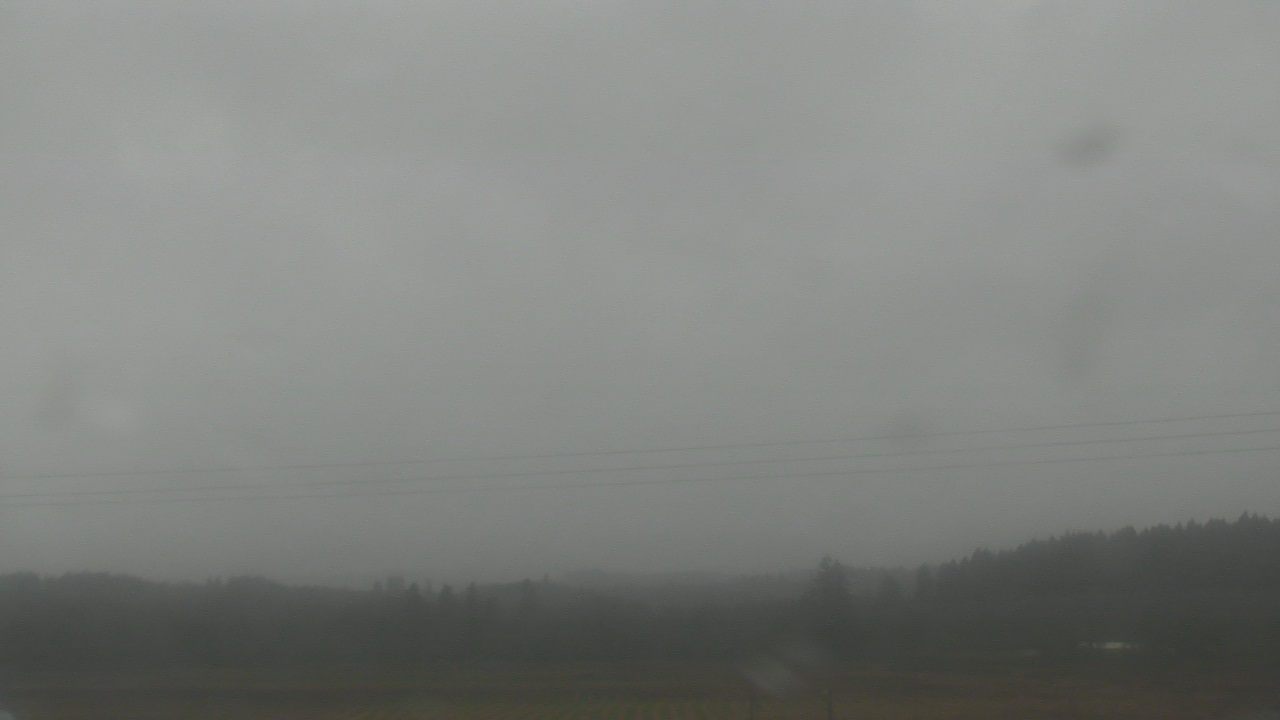 Thumbnail for current weather camera view from City of Banks Public Library in Banks, Oregon